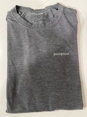 Patagonia Gray Crewneck Tee with Subtle Logo